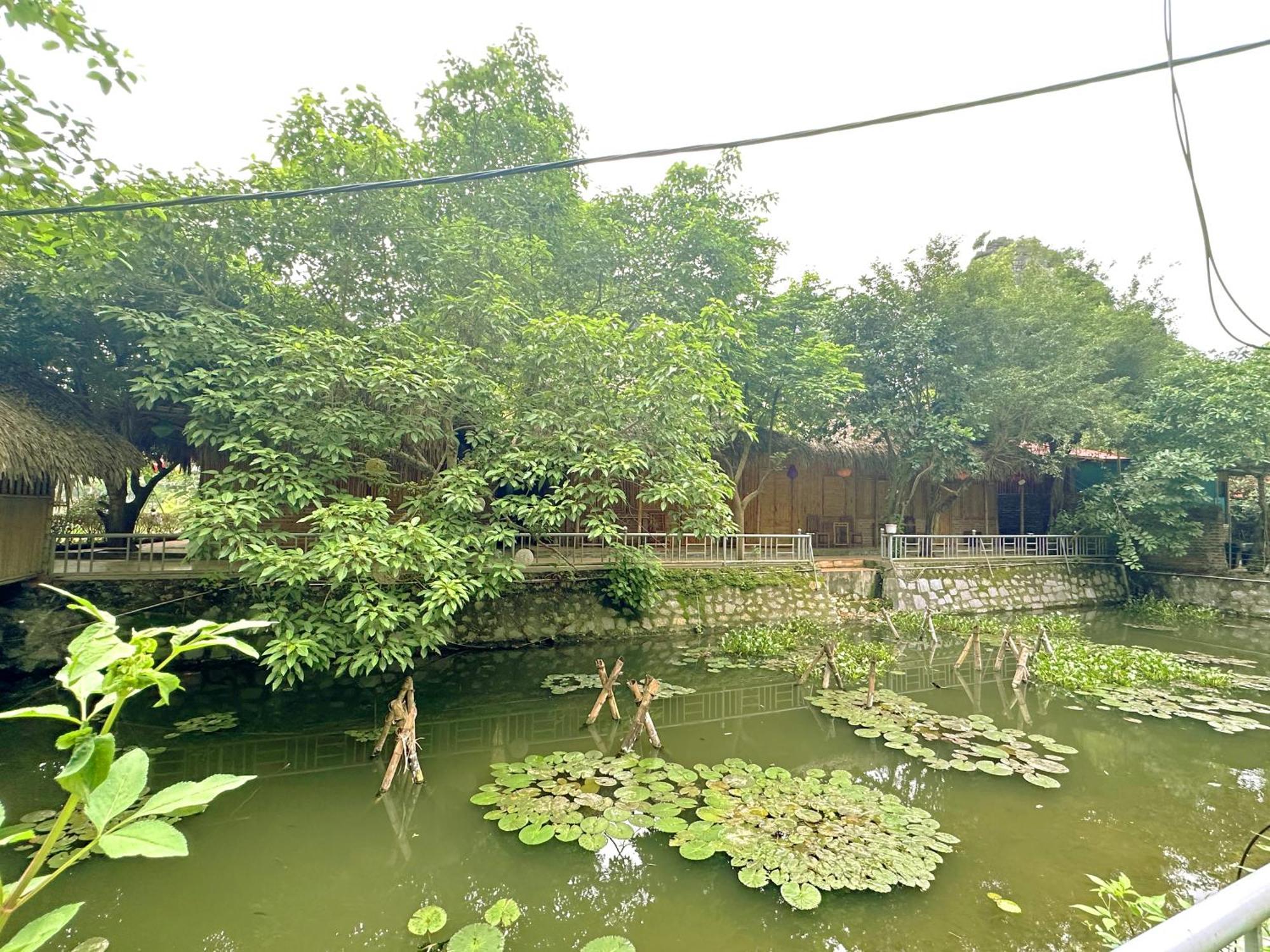 Quoc Khanh Bamboo Homestay Ninh Binh Zewnętrze zdjęcie